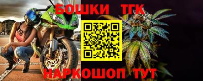 дживик Можга