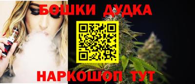 прущие крисы Моздок