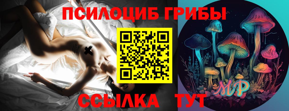 Псилоцибиновые грибы мухоморы Сердобск